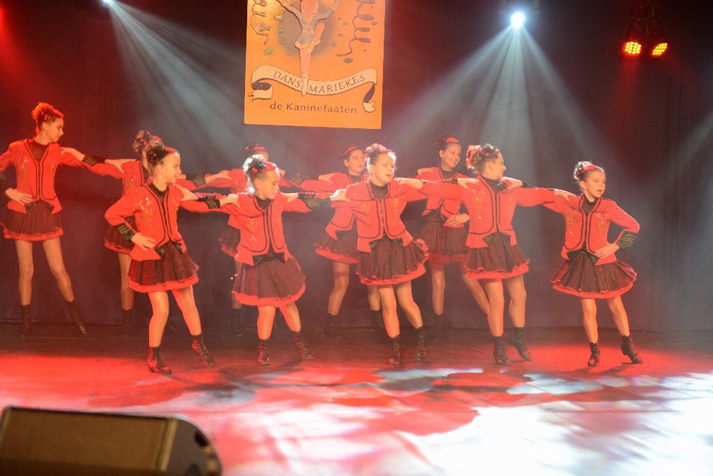 ../Images/Dansmarieke Festival 2016 132.jpg